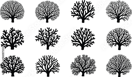 Collection of twelve black vector silhouettes of trees, bushes, and corals isolated on white background for nature and forest design.