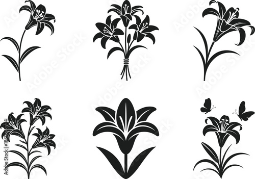 Lily Flower Silhouette Vector Set Elegant Floral Collection