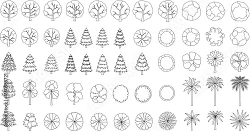 A comprehensive illustration of tree elements in top view, ideal for architectural and design projects, showcasing the diverse forms and characteristics of various tree species. 
