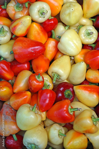 Colourful Hot chili peppers vegetables at farmers market