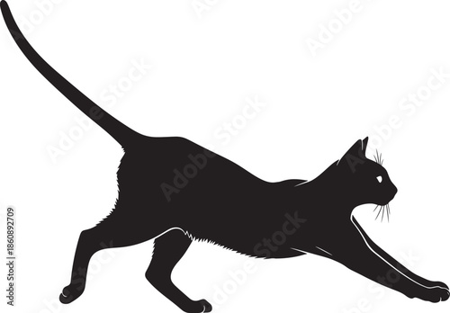 Black cat silhouette running with tail extended