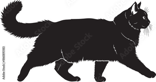 Black cat silhouette walking on white background
