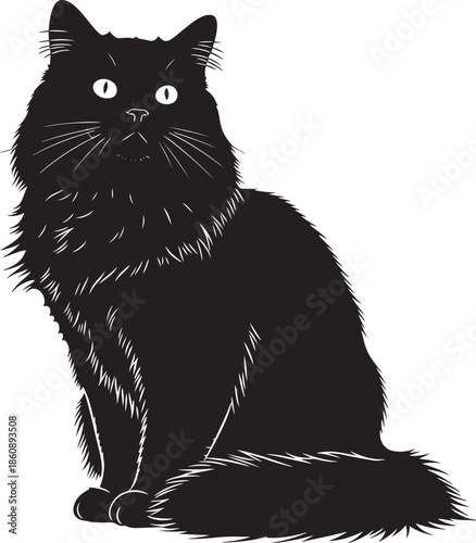 Black cat sitting and looking around with curiosity