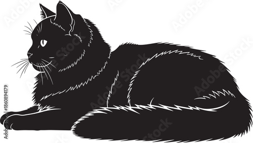 Black cat lying down with white eye