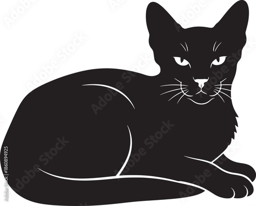 Black cat lying down with alert expression