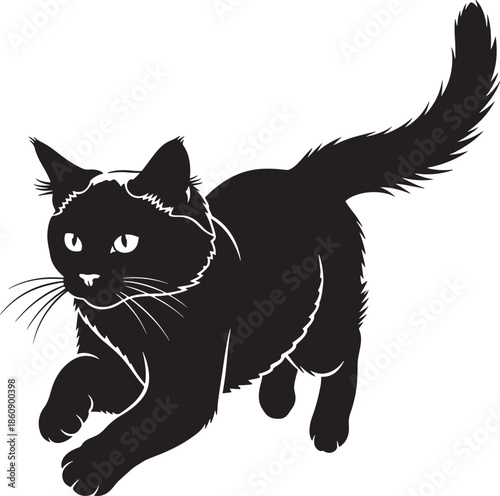Black cat walking on white background