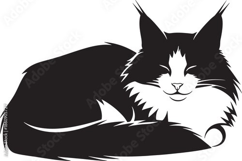 Black and white cat sleeping peacefully with eyes closed