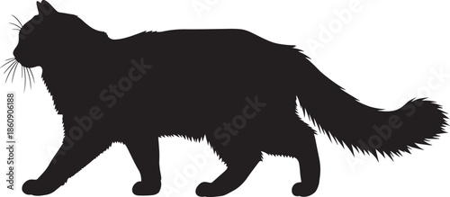 Black cat silhouette walking