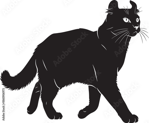 Black cat walking with curved horns