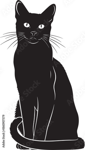 Black cat sitting with white eyes