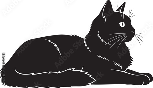 Black cat lying down and looking away