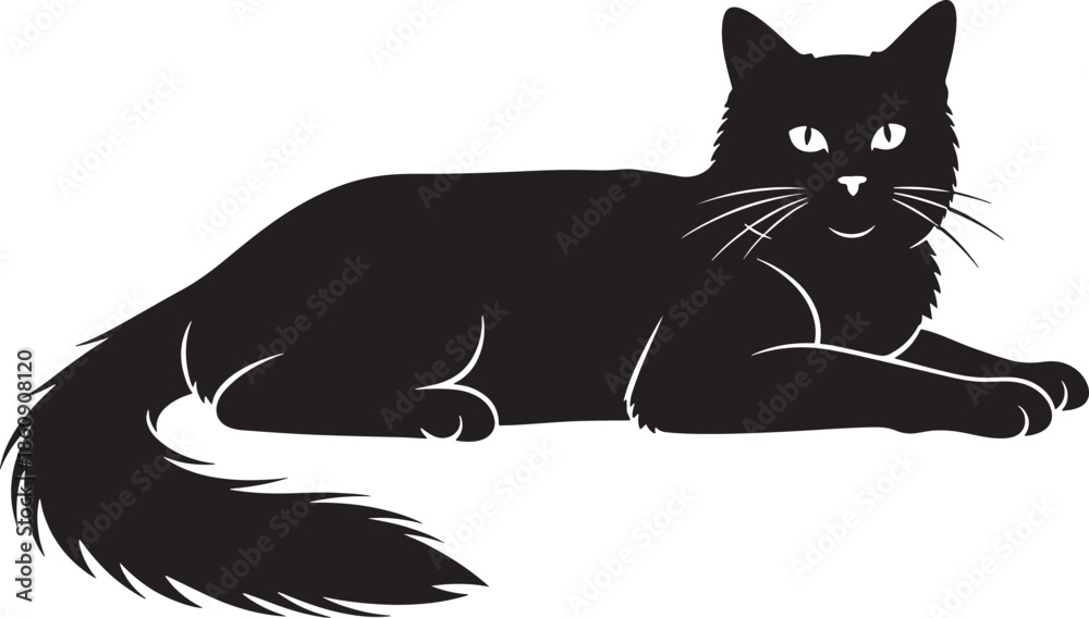 Obraz premium Black cat lying down with white eyes