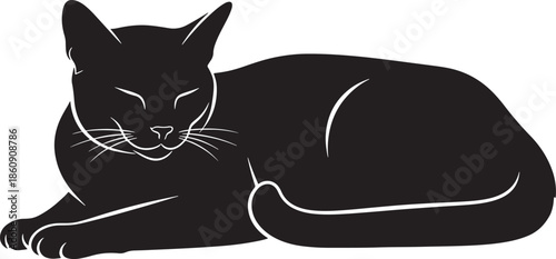 Cat lying down with eyes closed