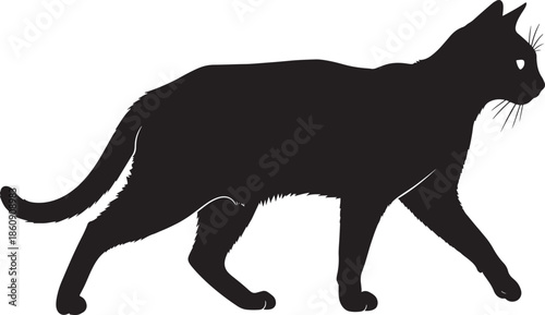 Black cat silhouette walking on white background