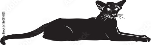 Black cat lying down with alert expression