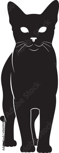 Black cat standing on white background