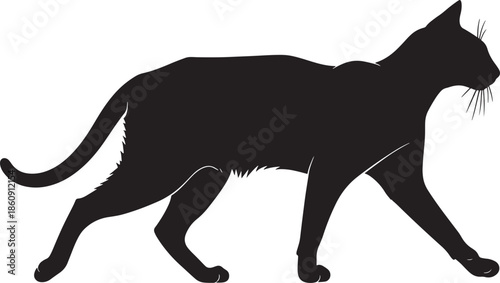 Black cat silhouette walking on white background