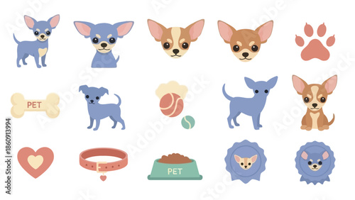 Adorable cartoon Chihuahuas in various poses and pet-related items like collars, bowls, and toys, presented as a vector illustration set.