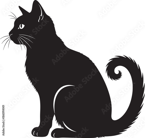 Beautiful black cat sitting with curly tail