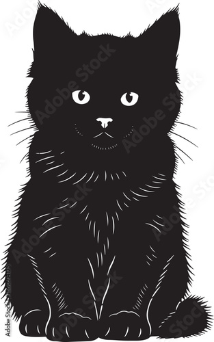 Black cat sitting and looking directly at viewer