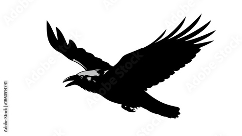 Silhouette of a black crow in flight with wings spread wide against a white background