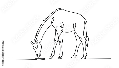 One continuous line illustration of an giraffe , isolated on white background.