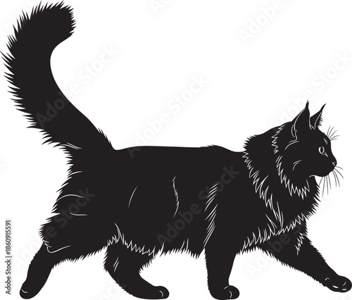 Black cat walking with tail up