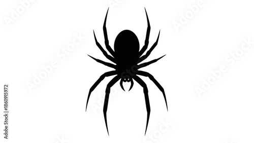 Striking Black Silhouette of a Spider on a Pure White Background