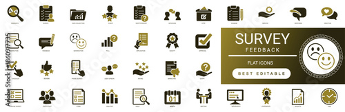 Survey Feedback Solid Icons for Customer Experience and Research featuring Rating Satisfaction Review Questionnaire Comment Form and Quality Professional Vector Set