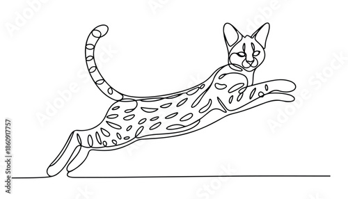 One continuous line illustration of an wild cat , isolated on white background.