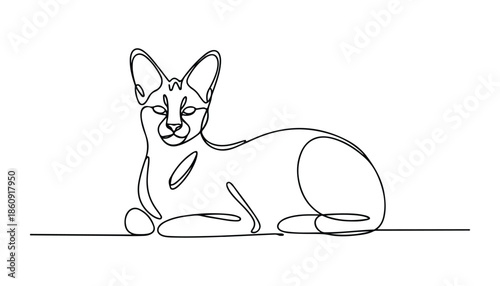 One continuous line illustration of an wild cat , isolated on white background.