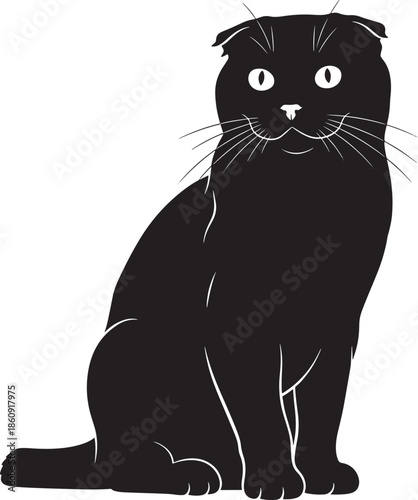 Black cat sitting and looking at camera