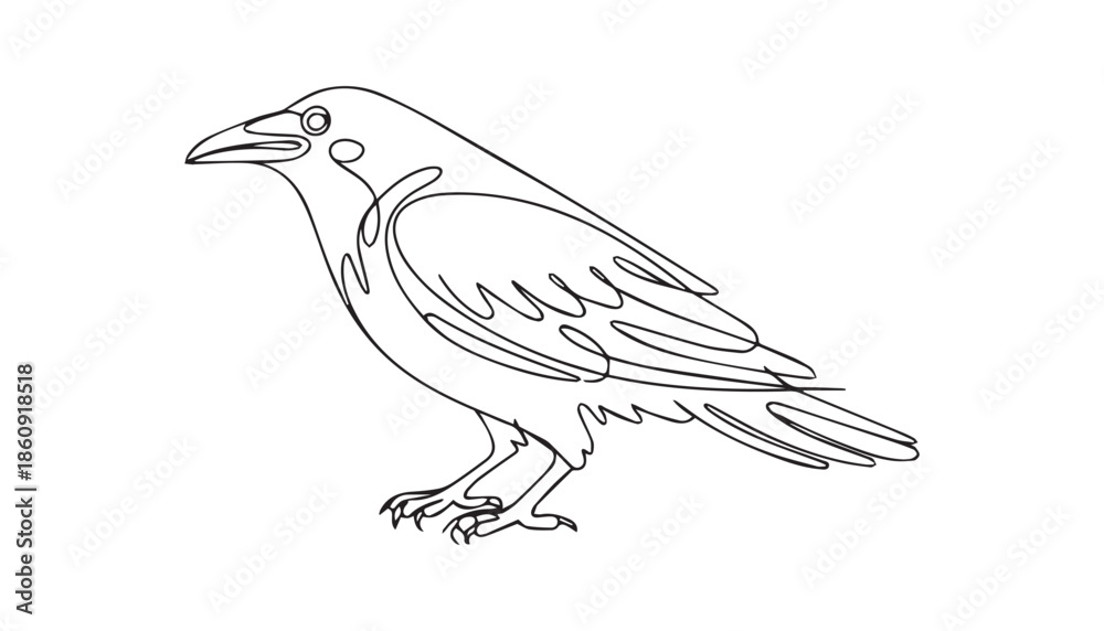 Obraz premium One continuous line illustration of an Crows , isolated on white background.