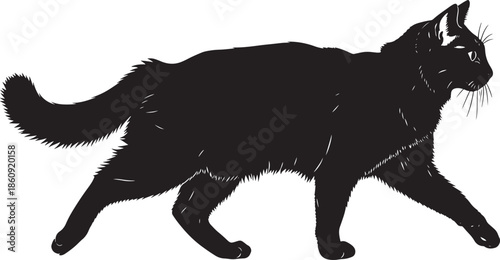 Black cat silhouette walking on white background