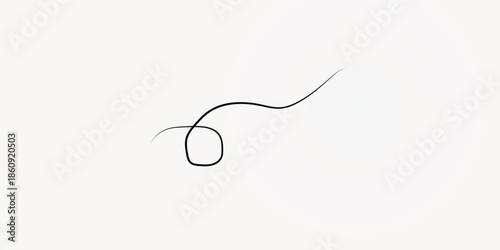 A single dark human hair strand, curled and looped, isolated on a clean white background.