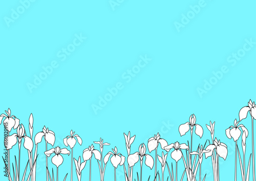 ブルーのさわやかな背景に白いアイリスが並ぶ線画フレーム　ベクターイラスト