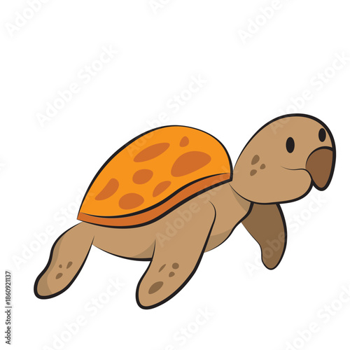 Sea animals with white background