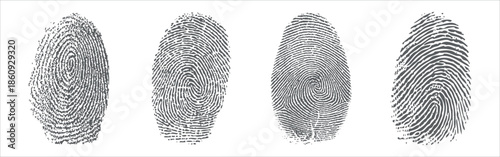 fingerprint vector illustration	