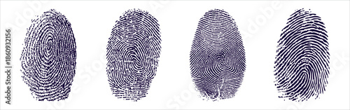 fingerprint vector illustration	