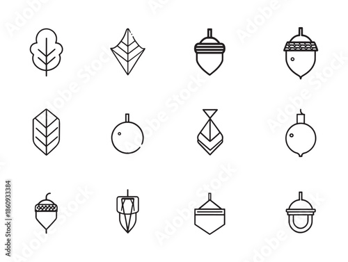 Acorn sparks wonder in woodland journeys