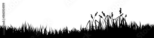Meadow silhouette with grass, plants on plain. Panoramic summer lawn landscape with herbs, various weeds. Herbal border, frame element. Black horizontal banners. Vector illustration