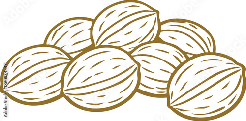Walnuts heap illustration