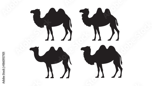 black color camel set of silhouette vector illustration, solid white background