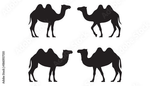 black color camel set of silhouette vector illustration, solid white background