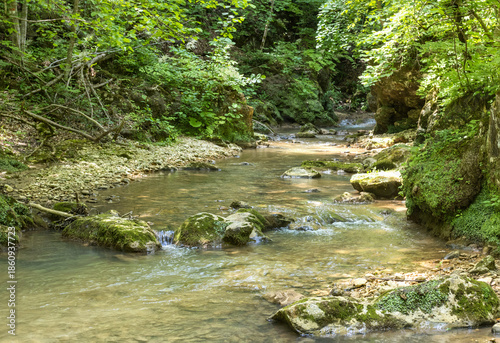 Autumn, a small shallow stream rushes to the big water through the forest