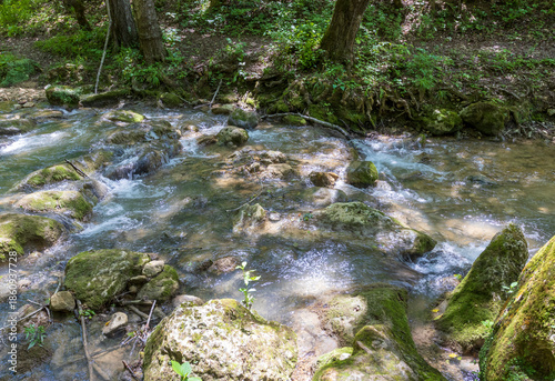 Autumn, a small shallow stream rushes to the big water through the forest