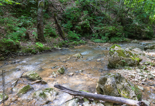 Autumn, a small shallow stream rushes to the big water through the forest