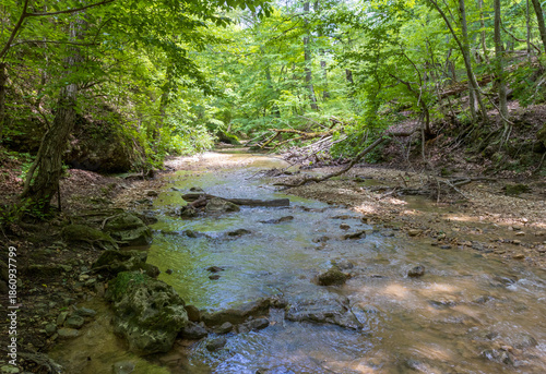 Autumn, a small shallow stream rushes to the big water through the forest
