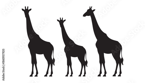 black color giraffe set of silhouette vector illustration, solid white background