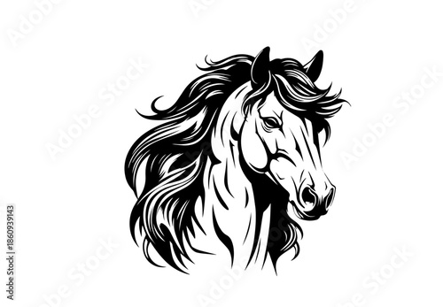 Elegant horse head silhouette with flowing mane, stallion vector illustration.

